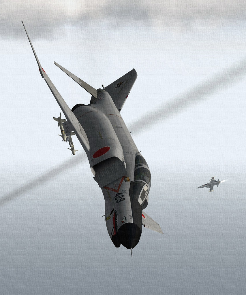JASDF F-5J TIGER.07