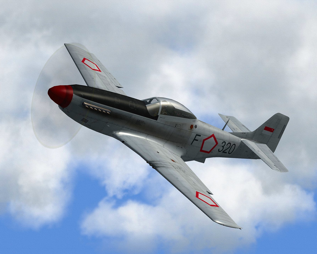 AURI P-51D MUSTANG.02