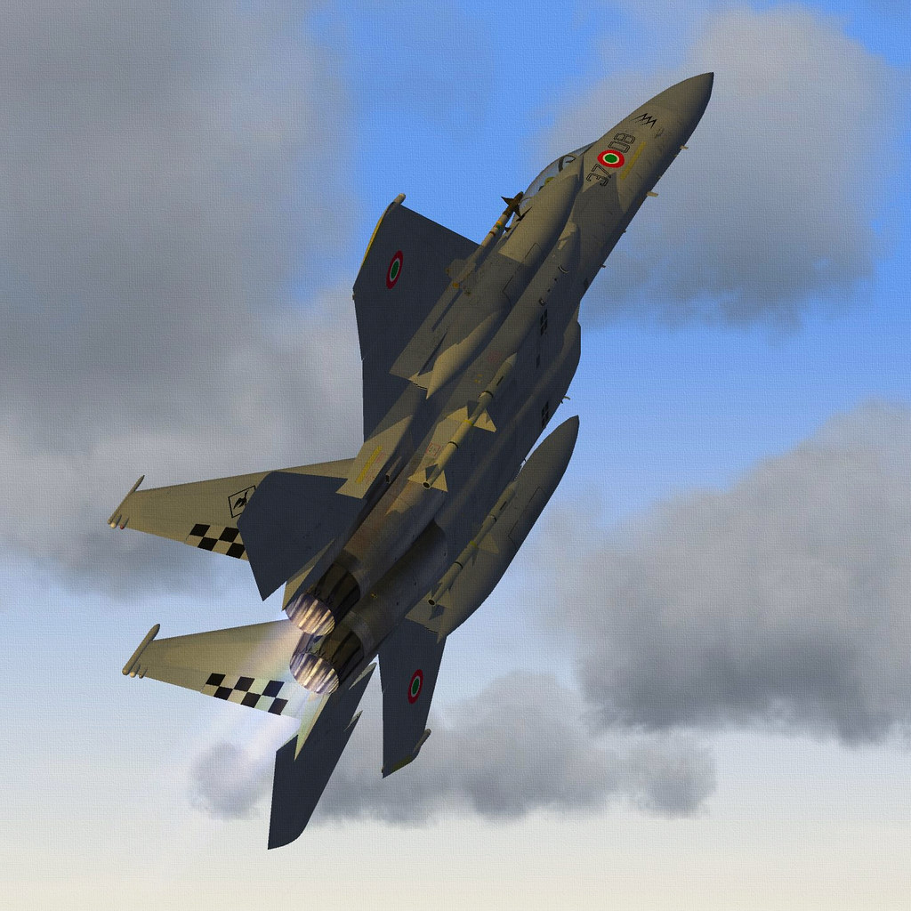 AMI F-15A EAGLE.06