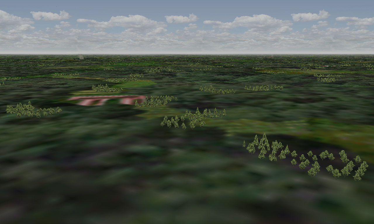 Forrest0.jpg