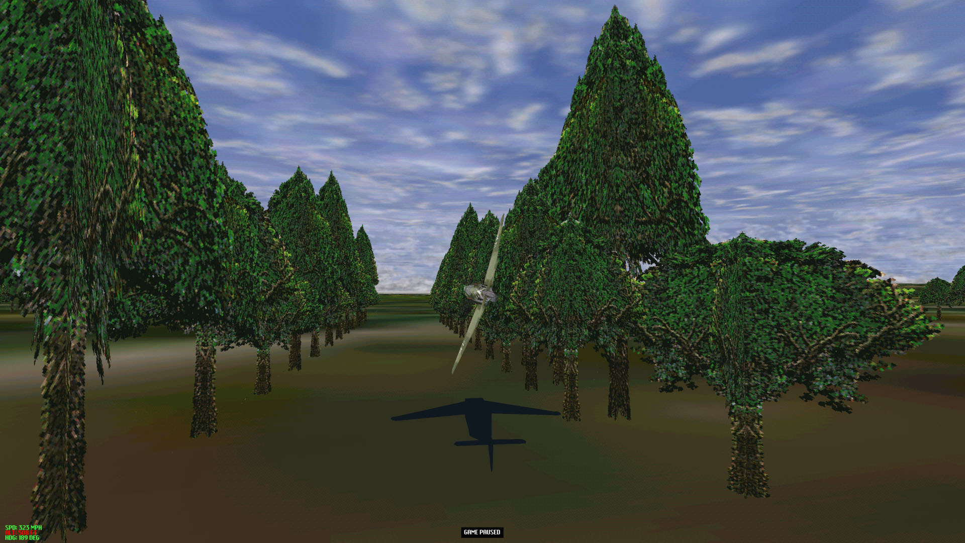Treelane3.jpg