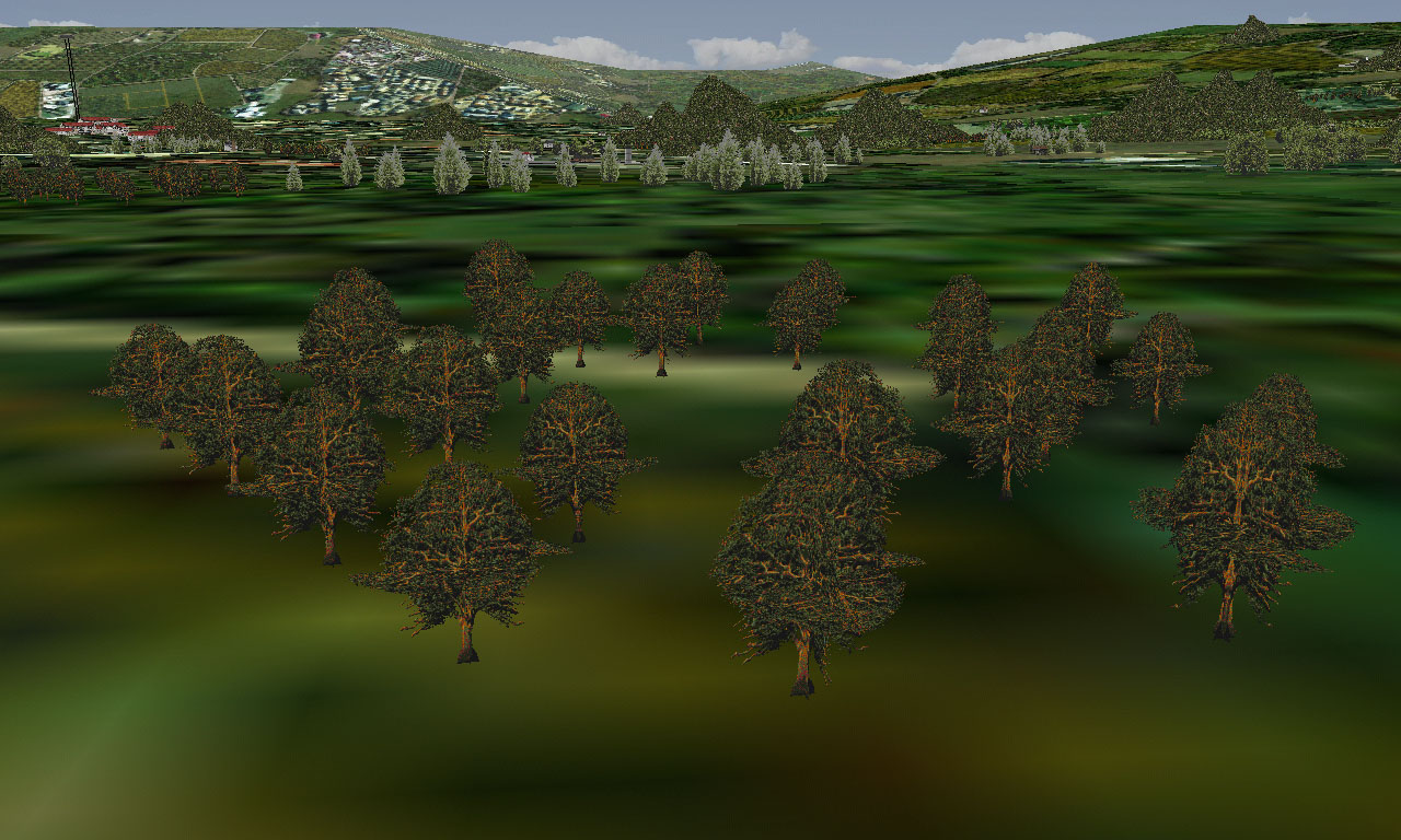 Trees160a.jpg