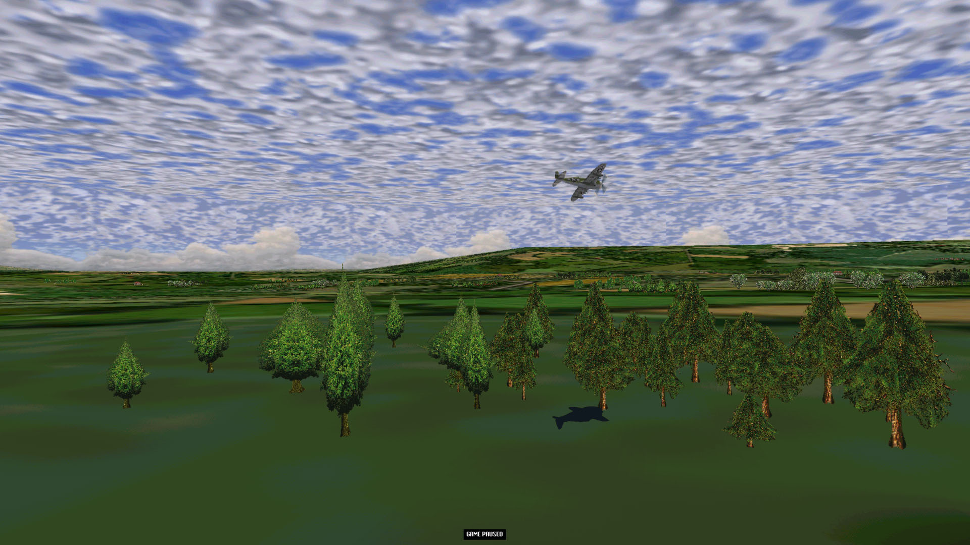 Trees82.jpg