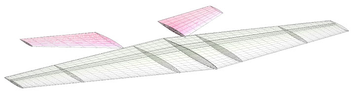 Unfolded-wing.jpg