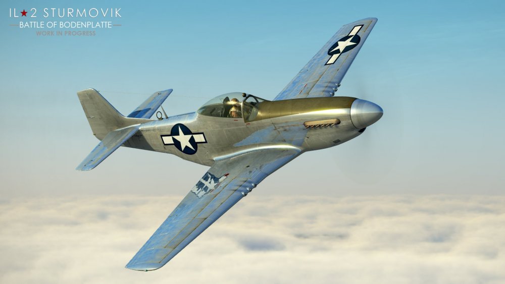 P-51_1.thumb.jpg.b5071698ec36ea9bd2340873a8af3396.jpg