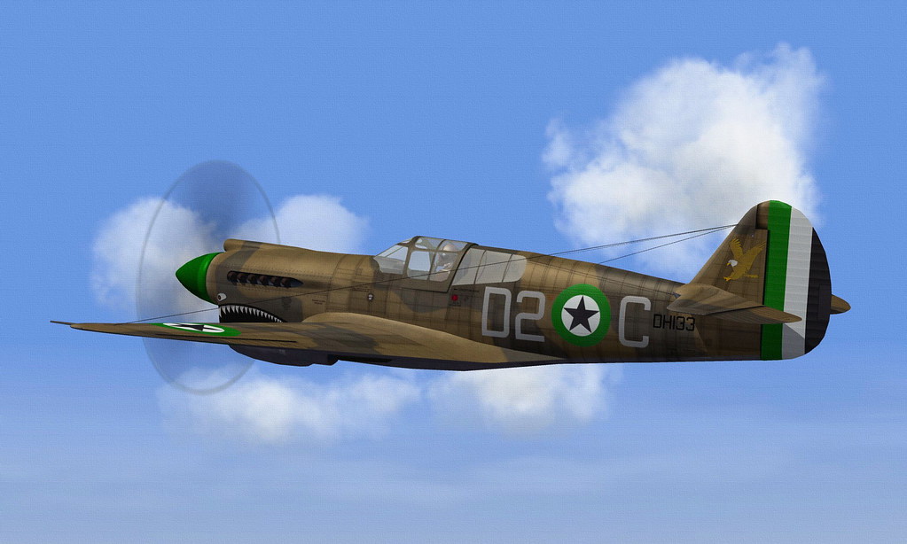 DHIMAR P-40E WARHAWK.02