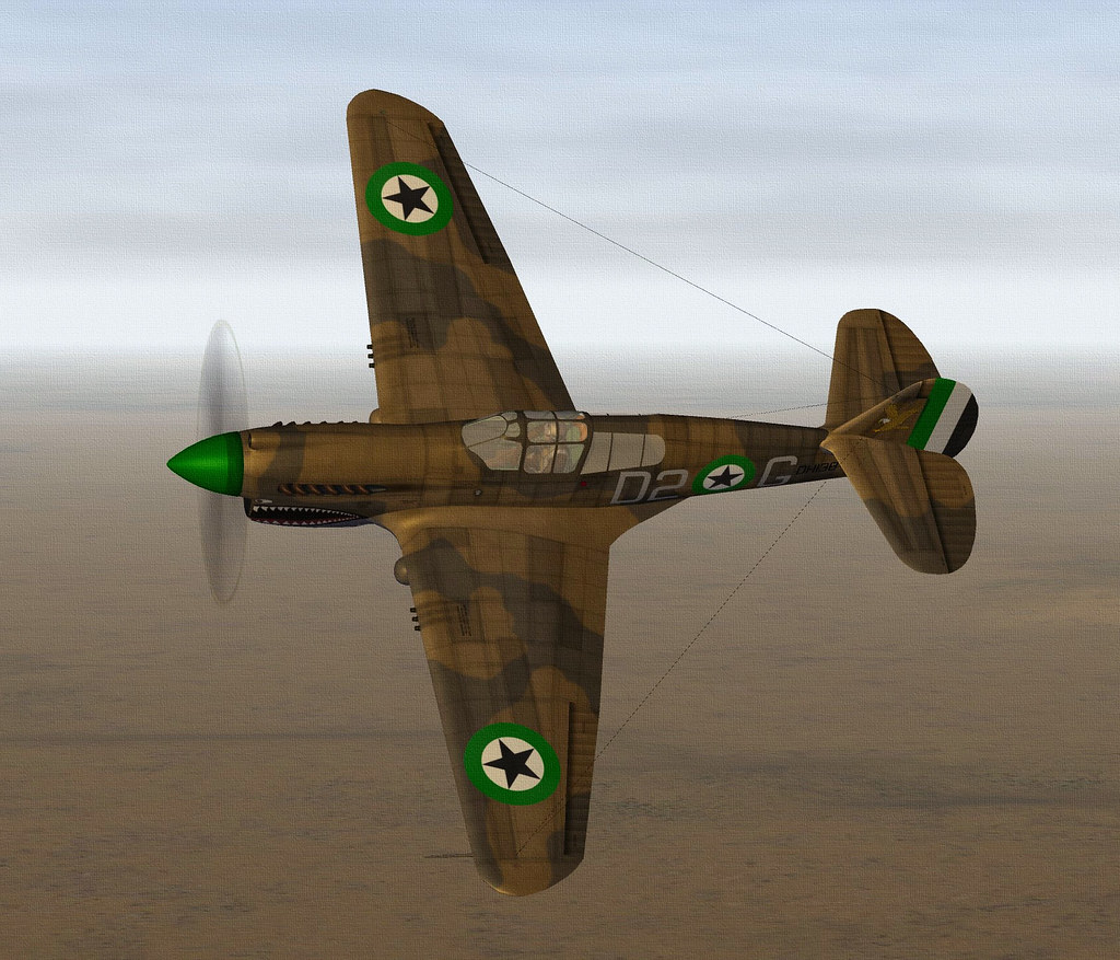 DHIMAR P-40E WARHAWK.06