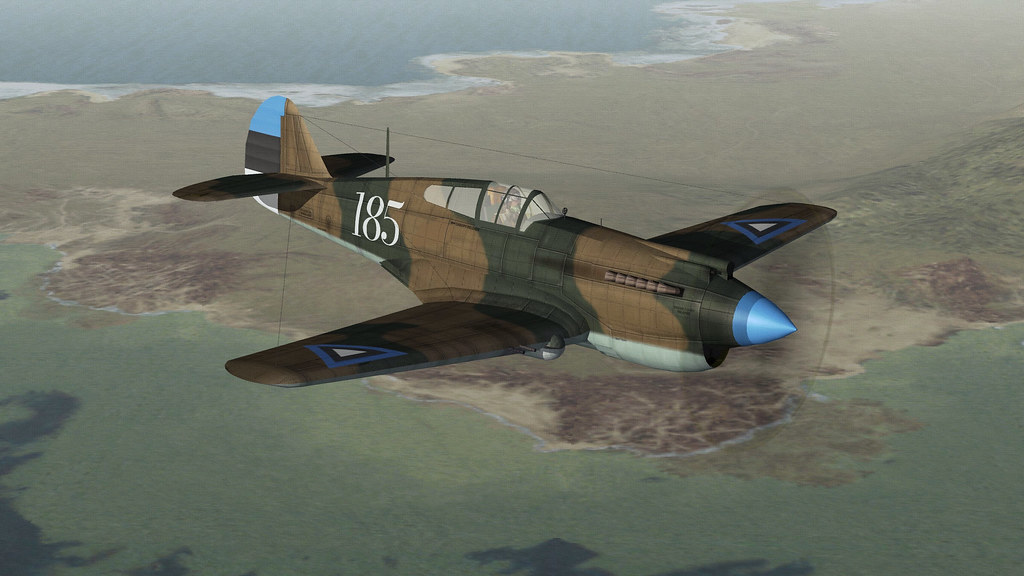 ESTONIA P-40B WARHAWK.02