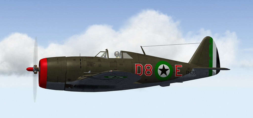 DHIMARI P-47B THUNDERBOLT.01