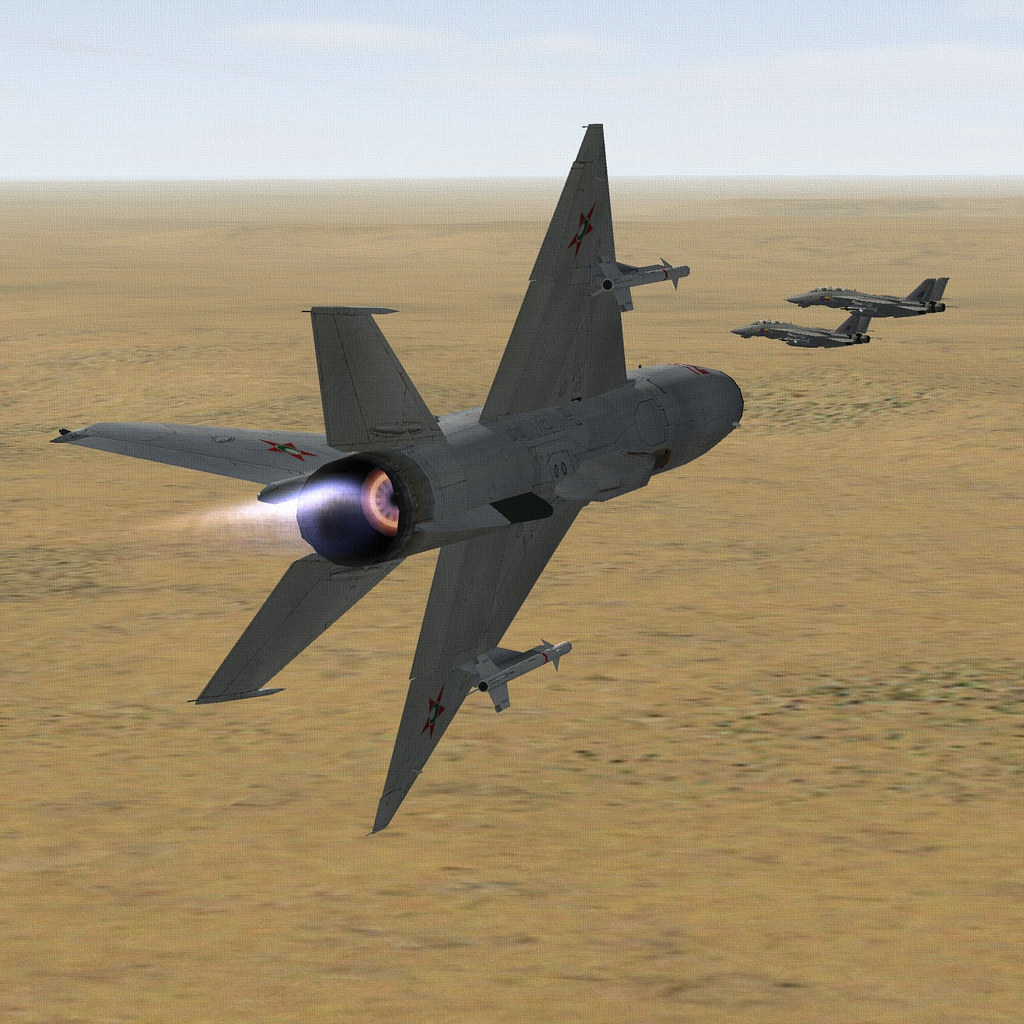 RAF TOMCAT FGR2.04