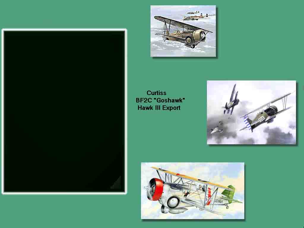 Curtis Hawk 3 Hangar Screen