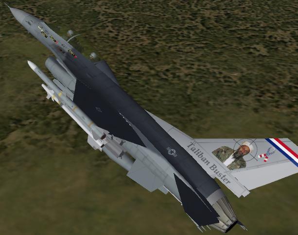 F-16B Taliban Buster