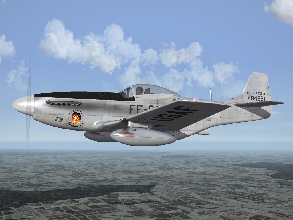 P-51D Mustang "Nose Arts" Skinpak