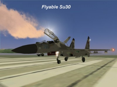 Flyable Su30