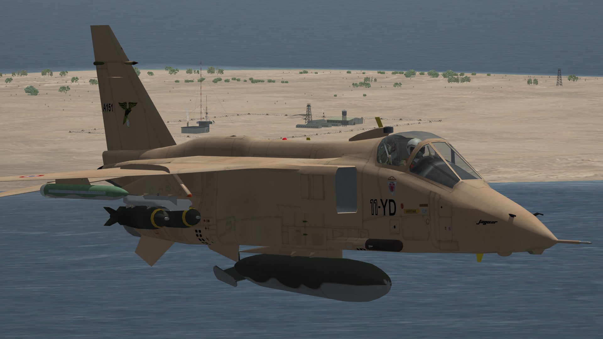 Jaguar A Desert Pink