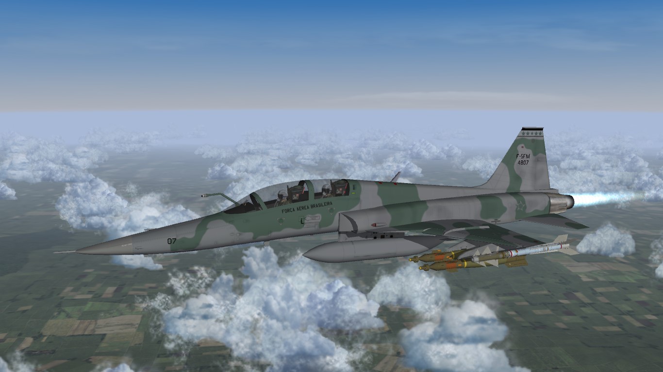 F-5F and F-5FM Brazilian Air Force