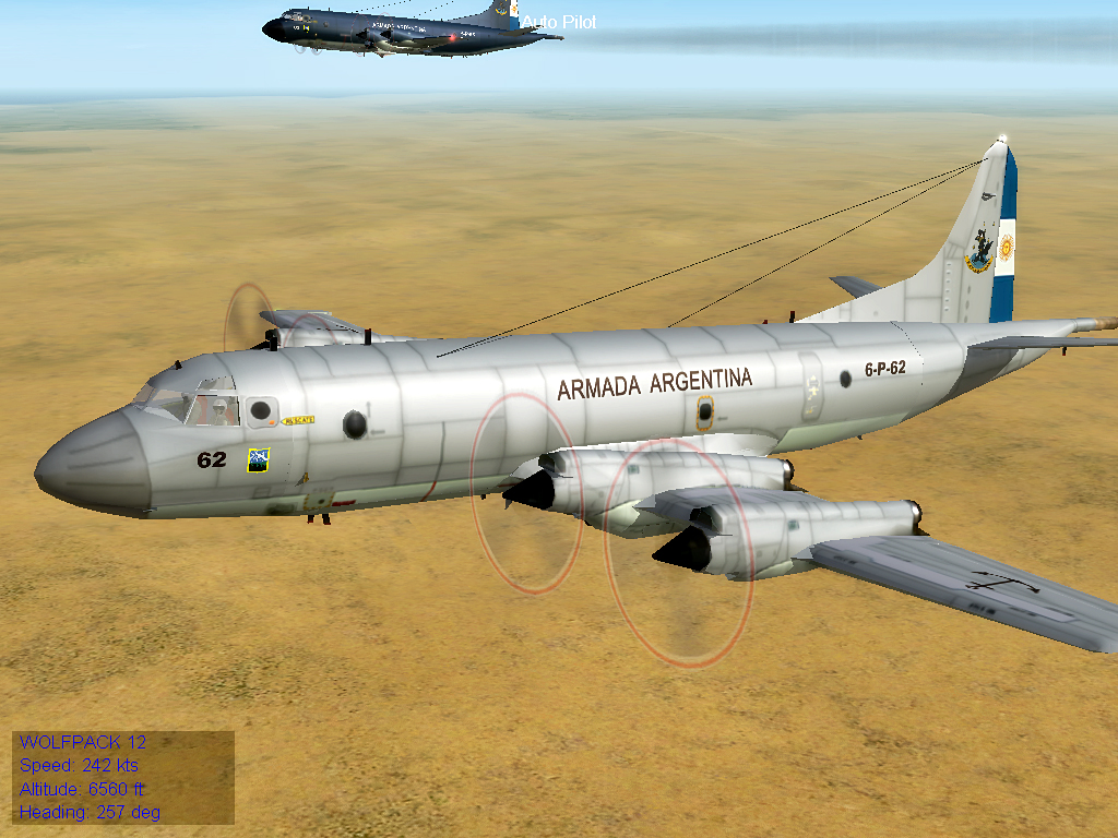 ARA Low-Viz P-3C Orion Armada Argentina
