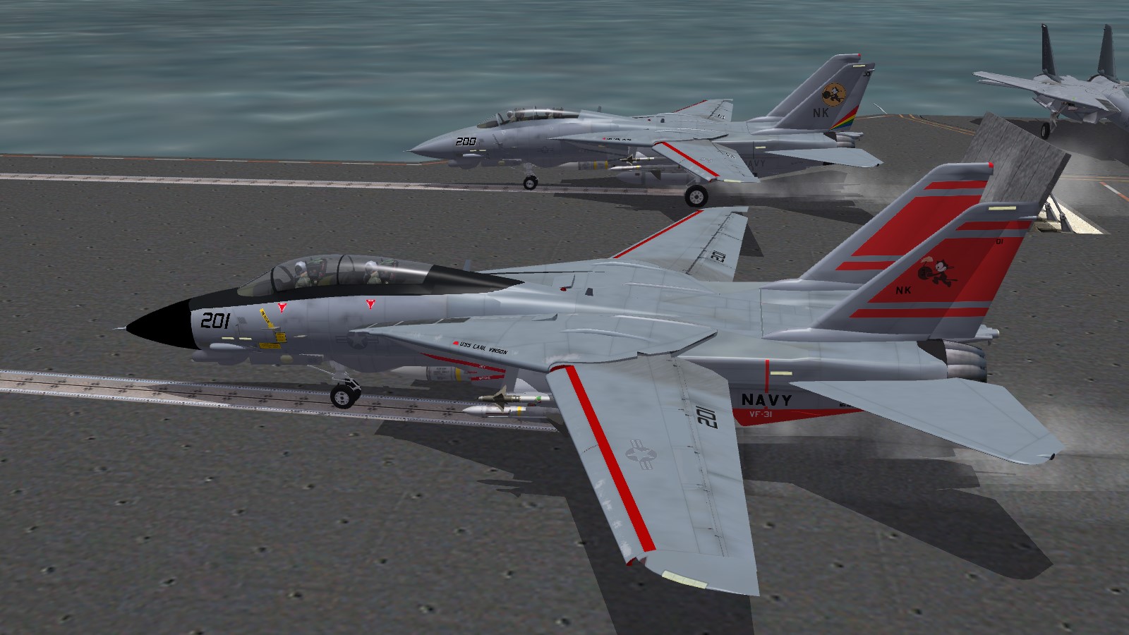 VF-11 and VF-31 F-14D