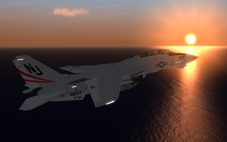 Hi-Viz USN F-14 Tomcats