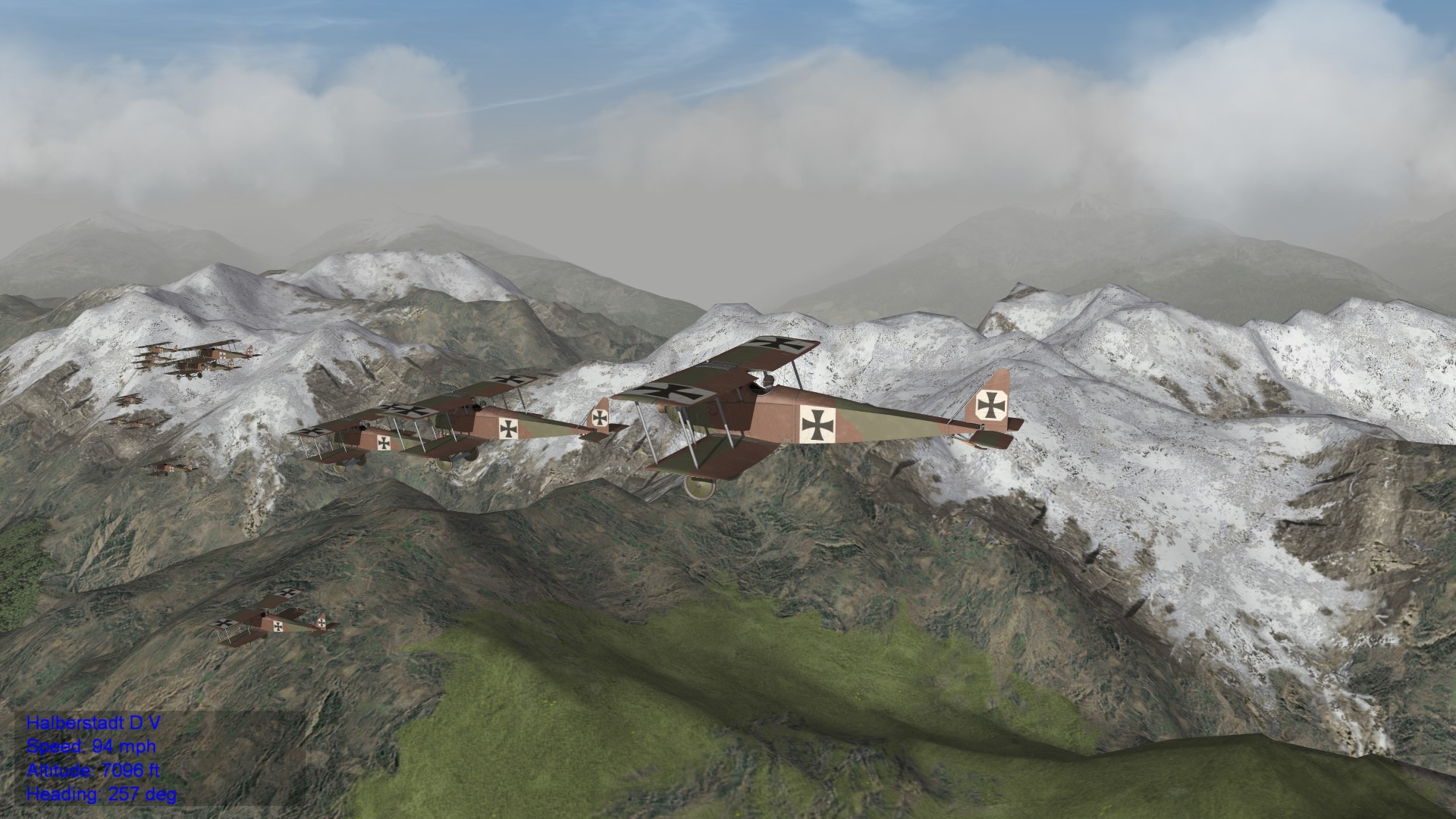 Halberstadt D5