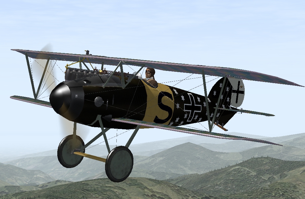 Michael Sigman Albatros D5