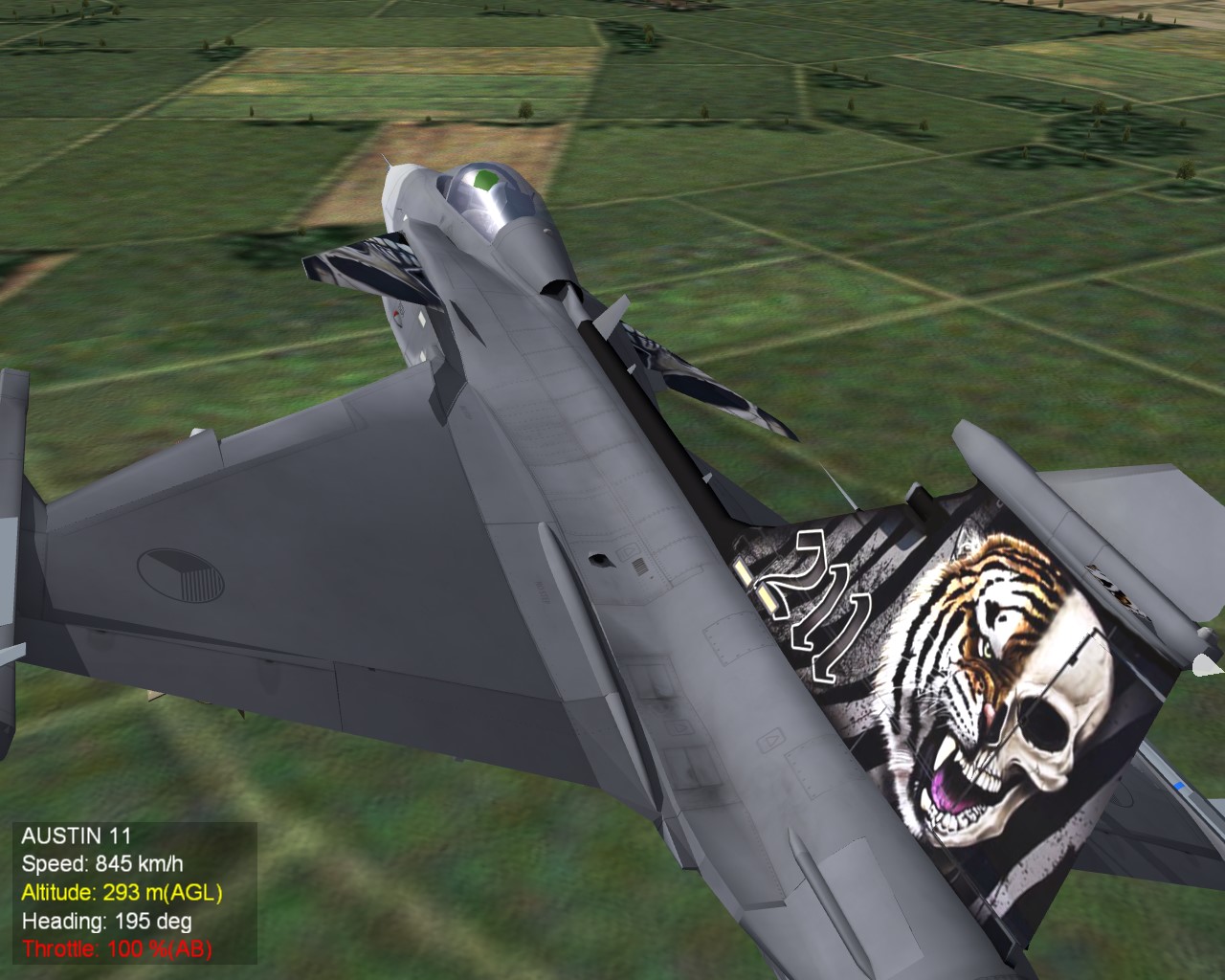 JAS39C CZECH 211. Tigers squad.