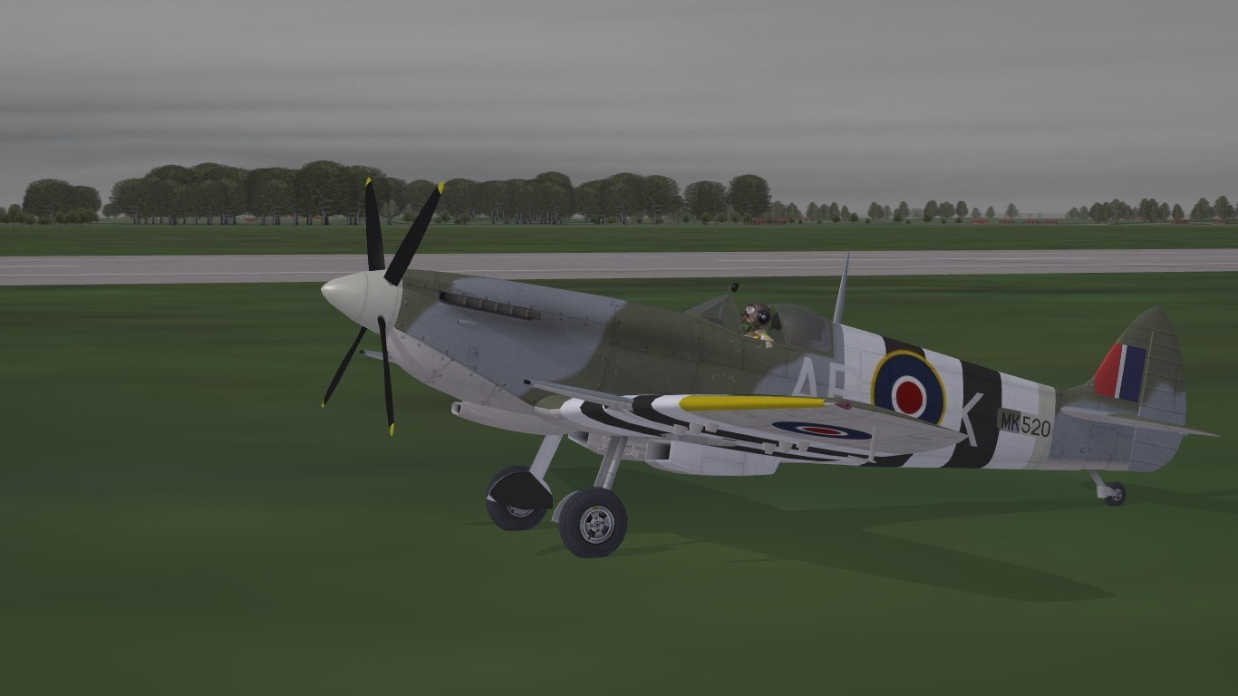 D-Day Spitfires