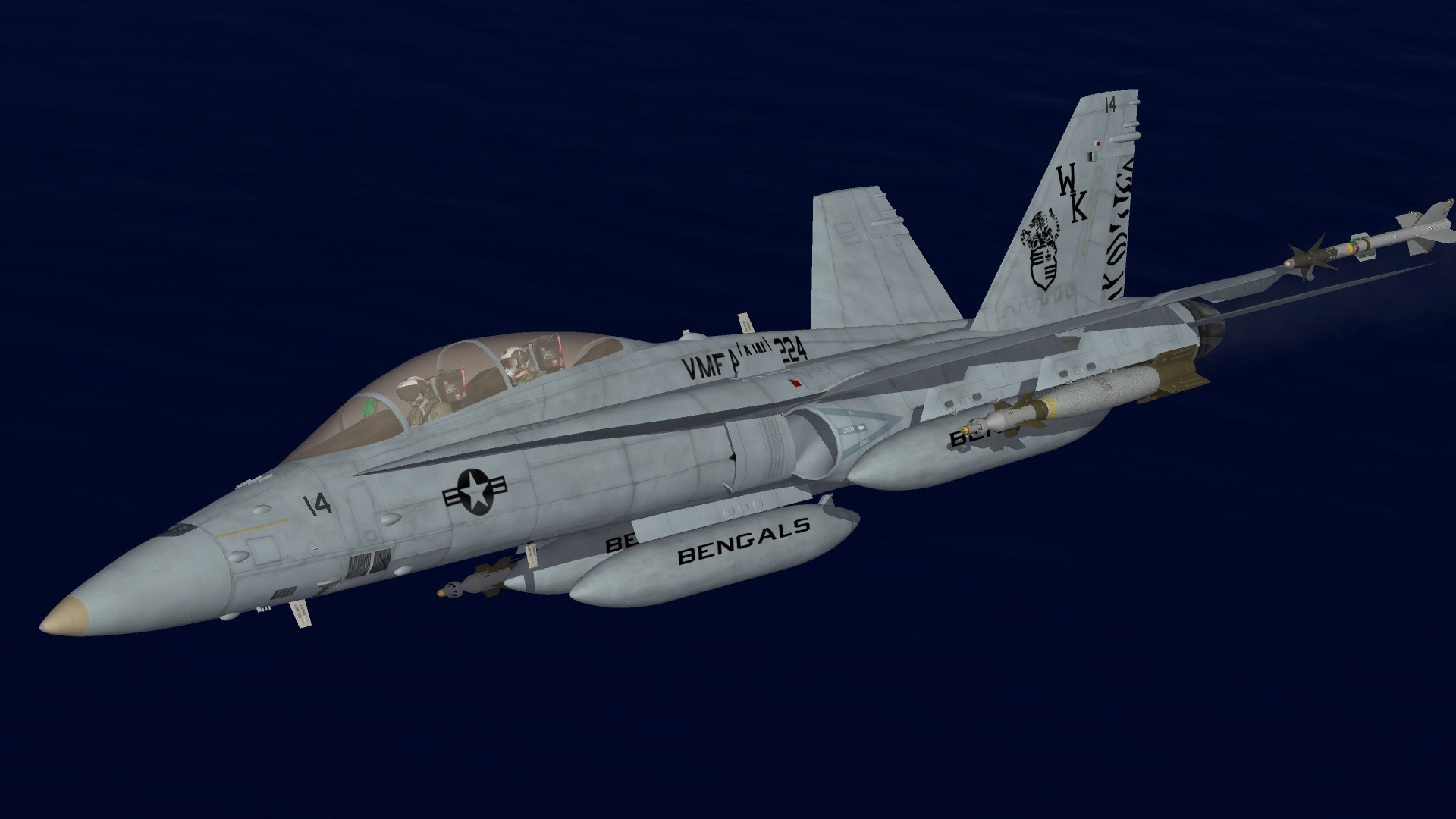 F/A-18D VMFA(AW)-224 Line