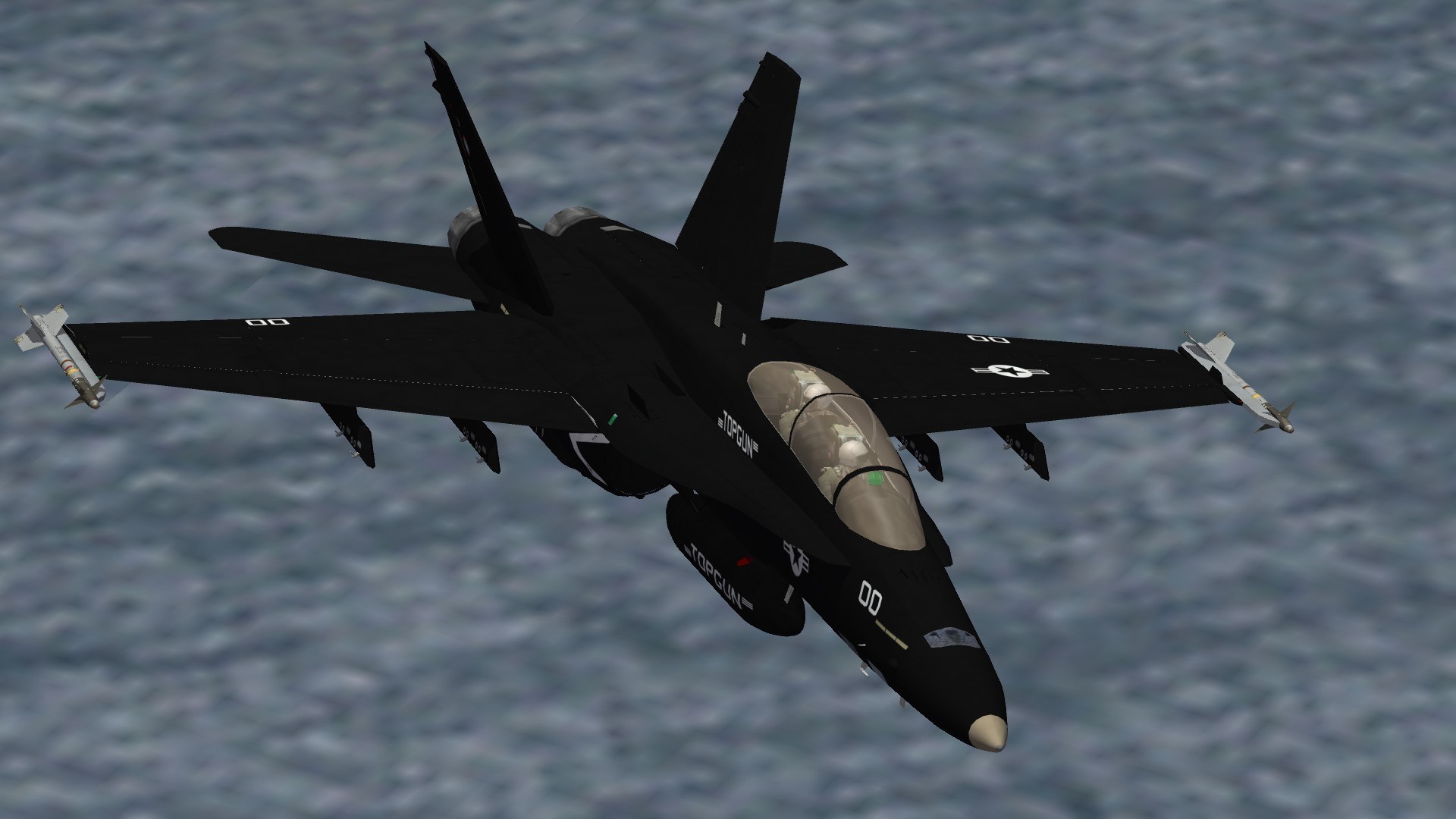 NSAWC F/A-18B "Topgun"