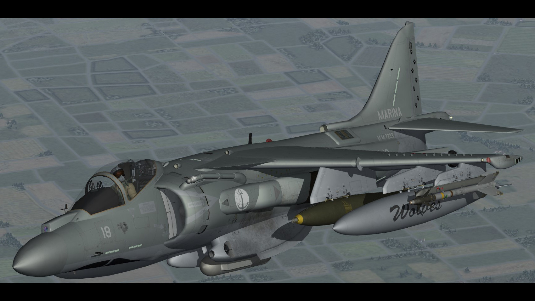AV-8B Plus Harrier II (Marina Militare)