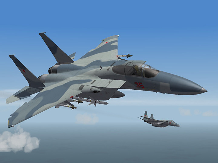 Aggressor Camo Skin for F-15A Eagle (fictional)