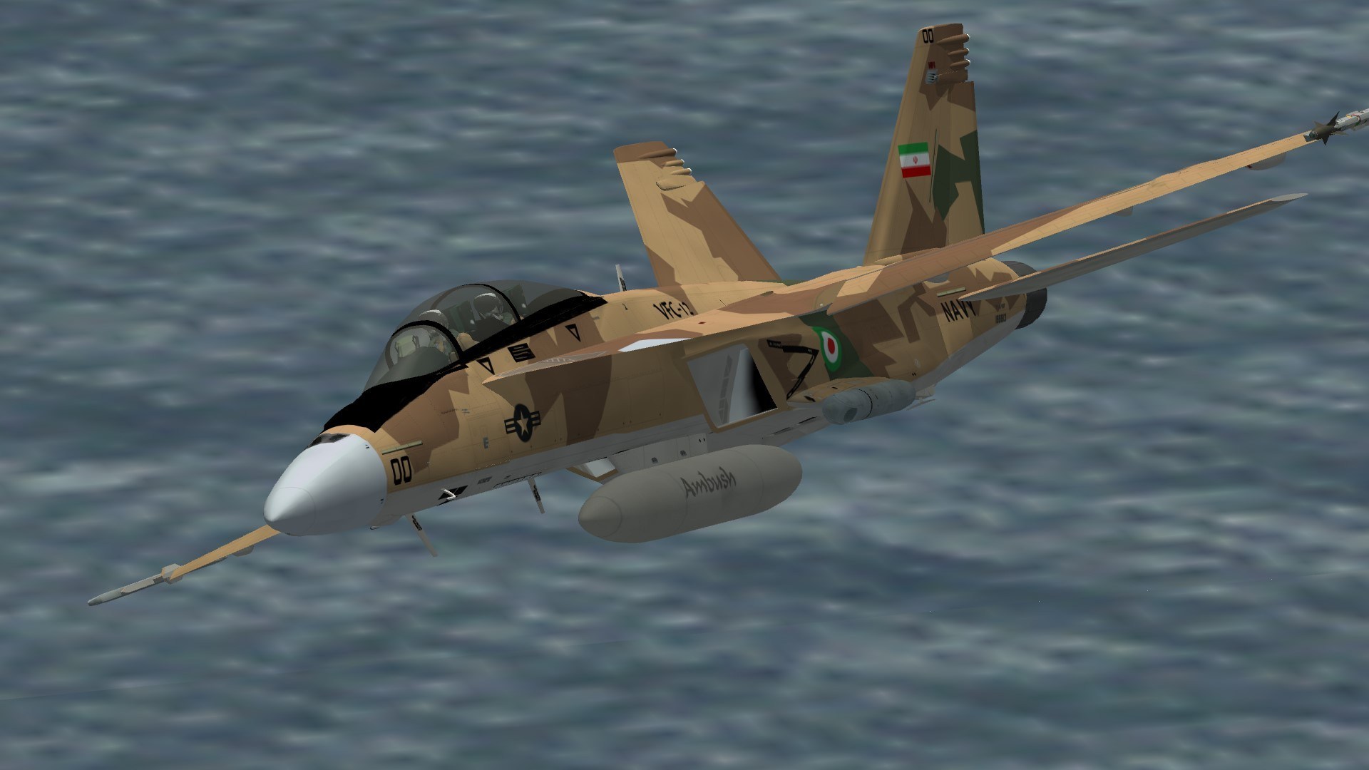 F/A-18F Iranian F-14 Scheme