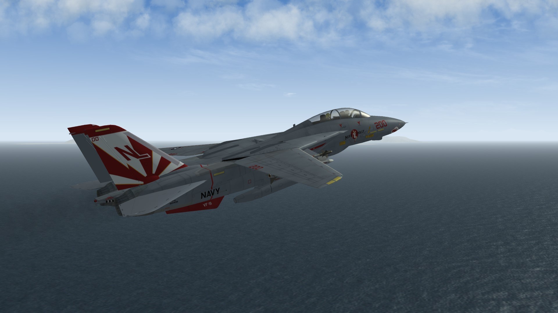 TW F-14A VF-111 CAG