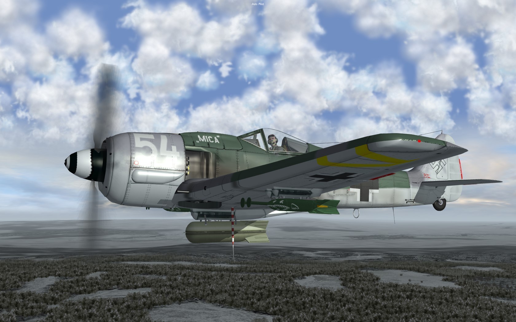 FW-190F