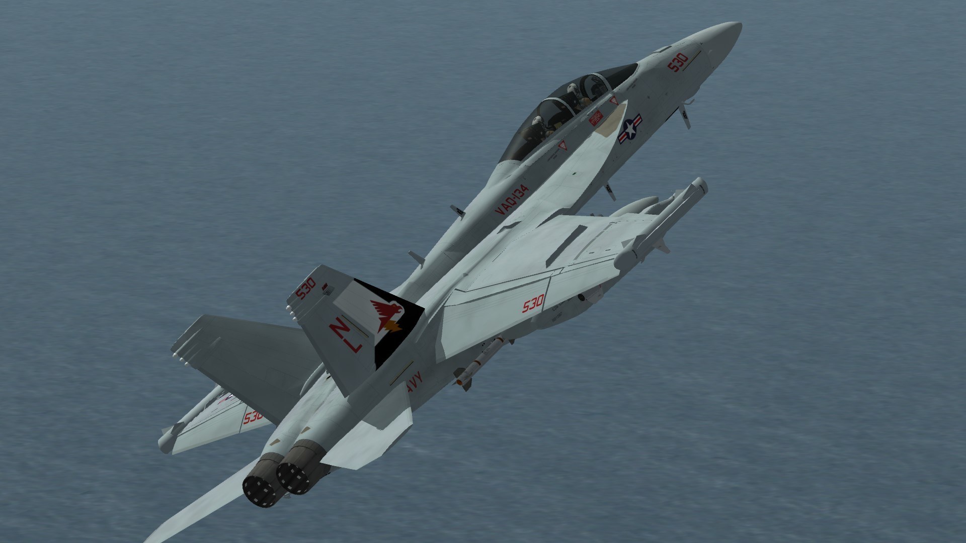 EA-18G VAQ-134 CAG May 2020
