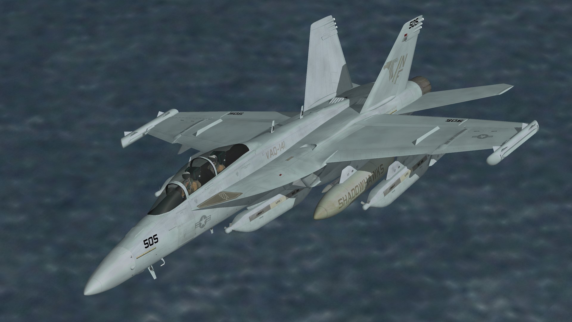 EA-18G VAQ-141 Line Bird