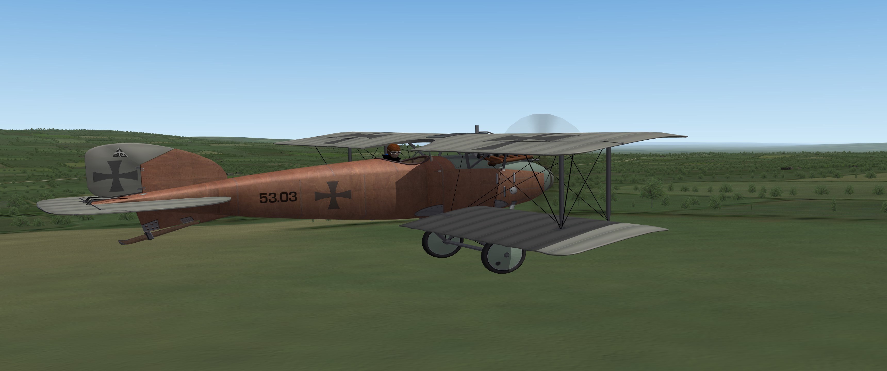 Albatros D II ( OEF ) REDUX