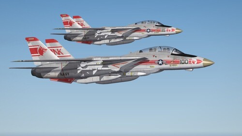 View the file F-14A(TW) VF-1 Wolfpack 1st cruise 1974-1975