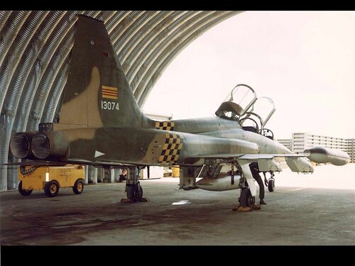 View the file Northrop 2 seaters for SF2 (Version 2.0)