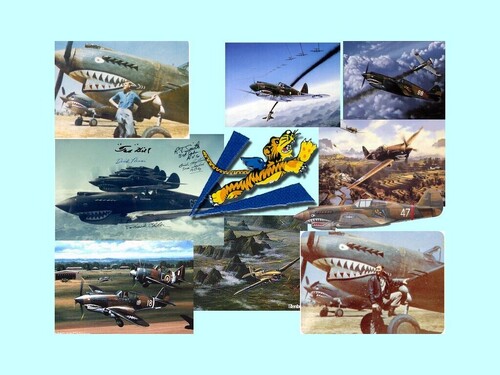 View the file AVG Skin Pack v1.1 - P-40B Tomahawk (wolf)