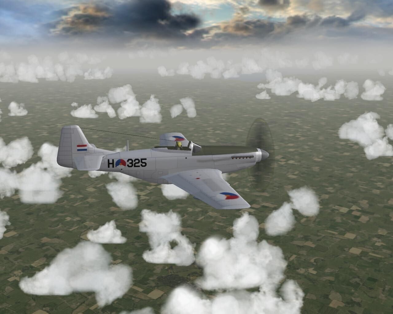 P-51D of the RNEIAF, 1948-1950