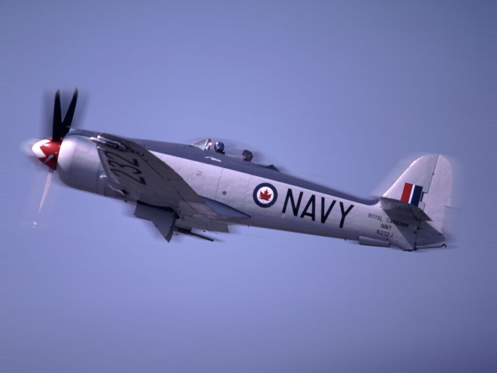 VF-871 RCN Sqn for the Sea Fury