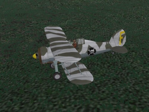 View the file Gloster Gladiator Mk1 Swedish volunteers F-19, Finland 1940