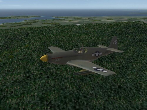 View the file P-51A Mustang, 530th FS, CBI - Skin & Ini Pak