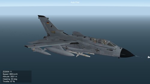 More information about "Tornado ECR Luftwaffe 1999"