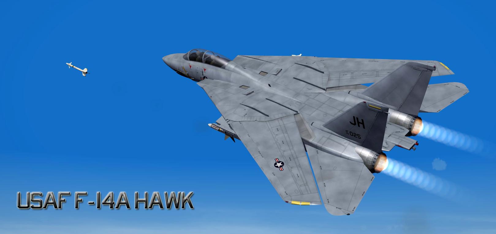 USAF F-14A Hawk 'What-If' Skin
