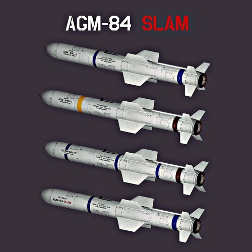 More information about "AGM-84 Harpoon Missile Skin Pack"