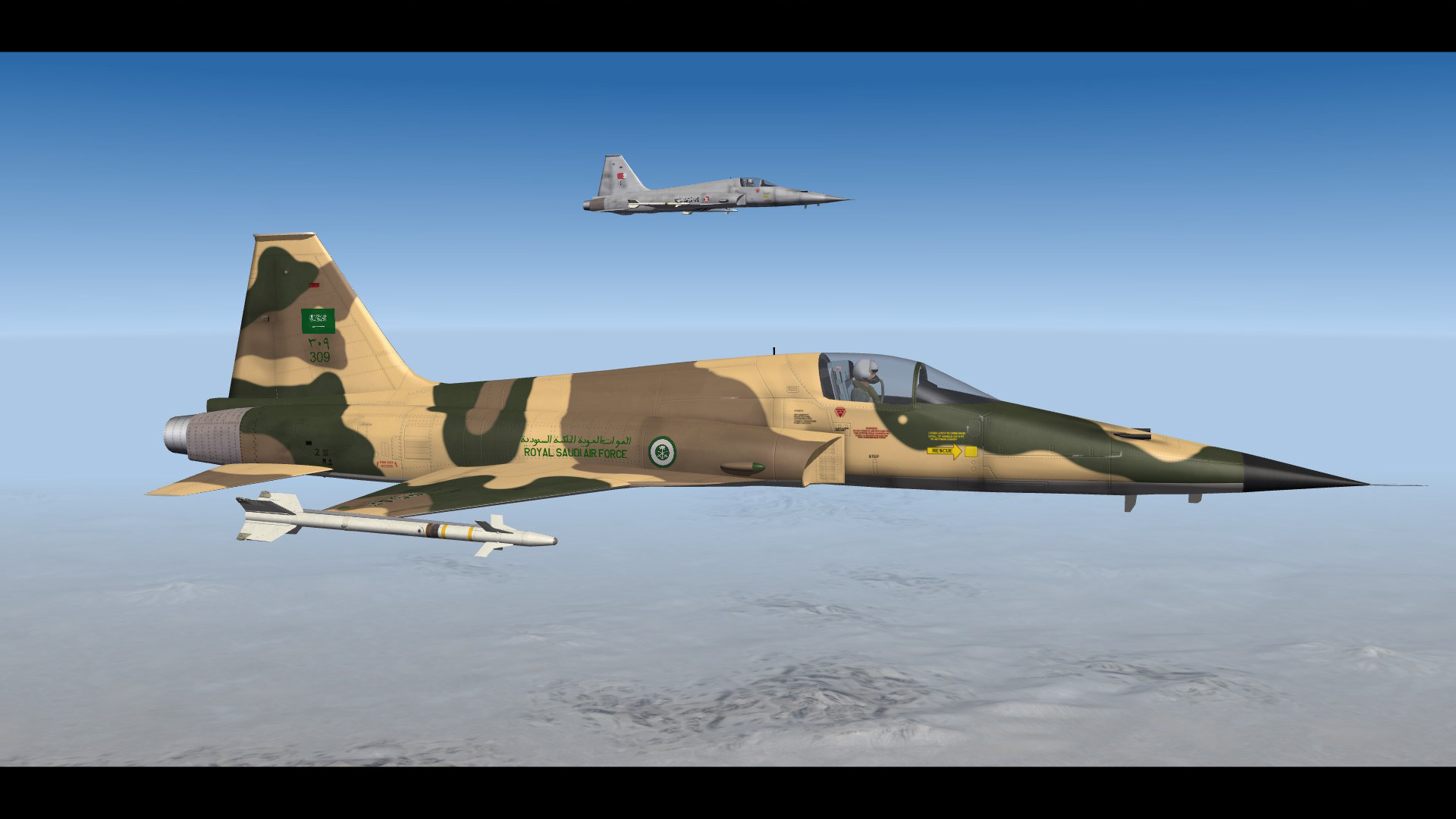 ODS Warbirds: F-5E Tiger II ODS30 Squadrons