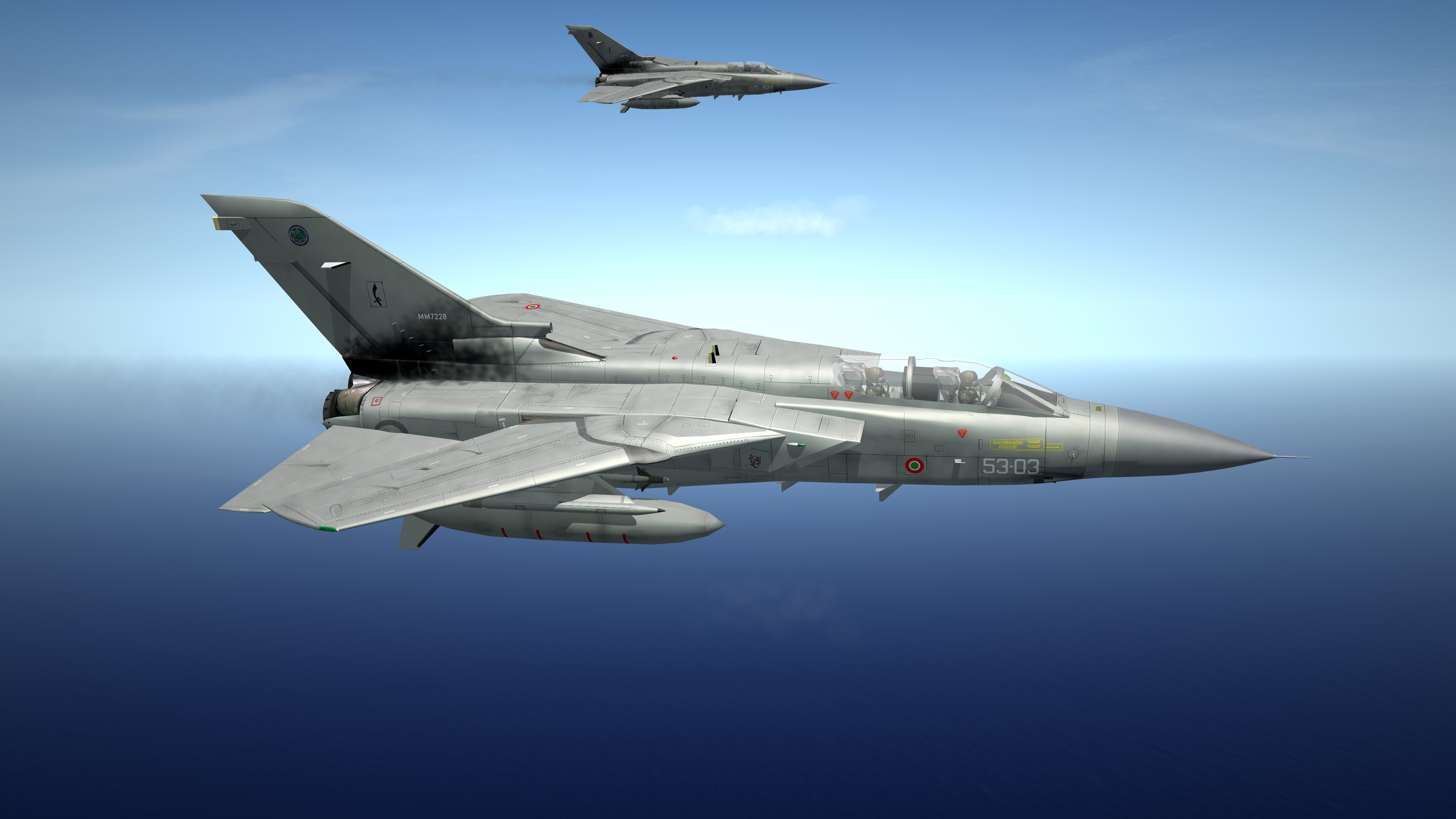 Panavia Tornado F.3 A.M.I. for ODS edition upgrade
