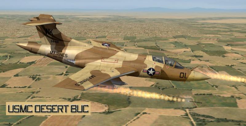 USMC Desert Buc-1.jpg